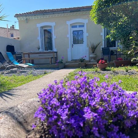 Charmante Maison Climatisee Avec Piscine Au Calme A Carcassonne Ngoại thất bức ảnh